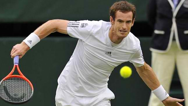 andy murray wimbledon