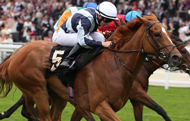 Duntle horse racing Falmouth Stakes