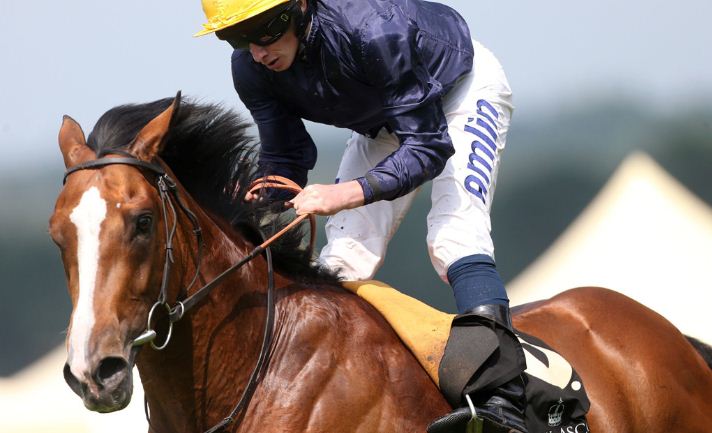 Hillstar on King George and Queen Elizabeth Stakes Ascot