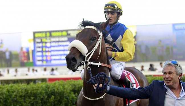 Shea Shea ready for Darley July Cup