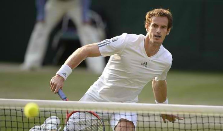 andy murray wimbledon 2