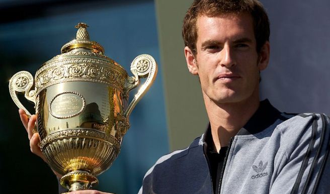 andy murray wimbledon success