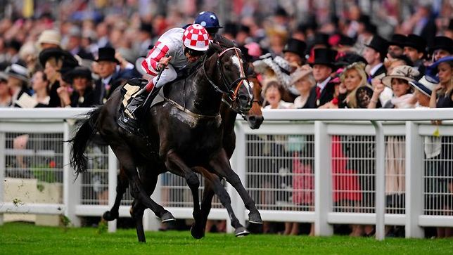 shea shea royal ascot