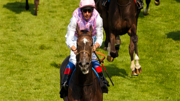 Amazing Maria at Goodwood