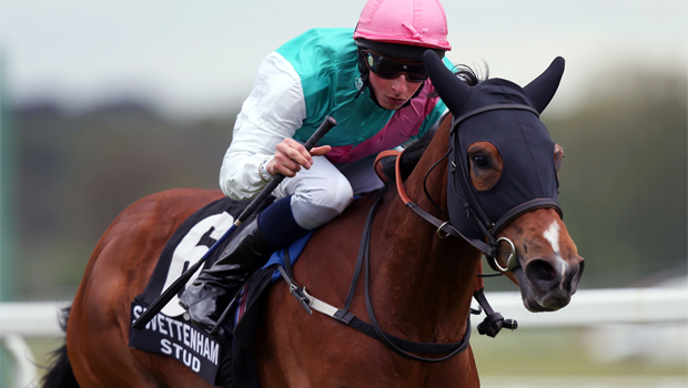 Breeders Cup Filly and Mare Turf is target for Winsili