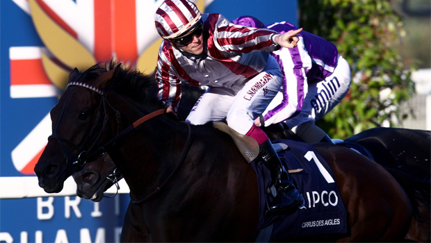 Cirrus Des Aigles third consecutive loss