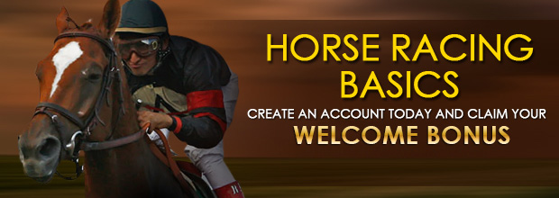 Horse Racing Basics