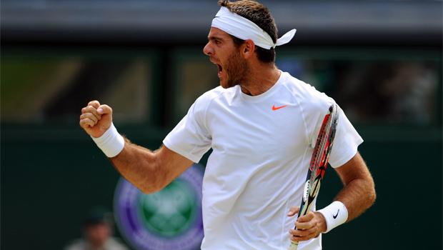 Juan Martin Del Potro Washington Open