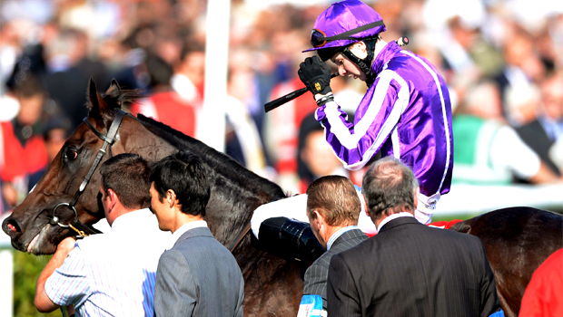 Juddmonte International Stakes and Red Mills Irish Champion Stakes Camelot