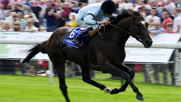 Sir Michael Stoute Telescope to miss St Leger