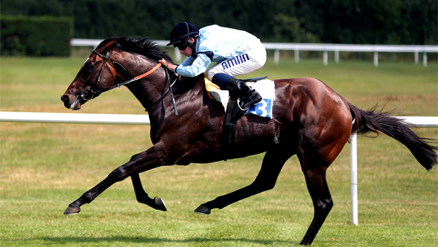 Telescope Rose of Lancaster Stakes