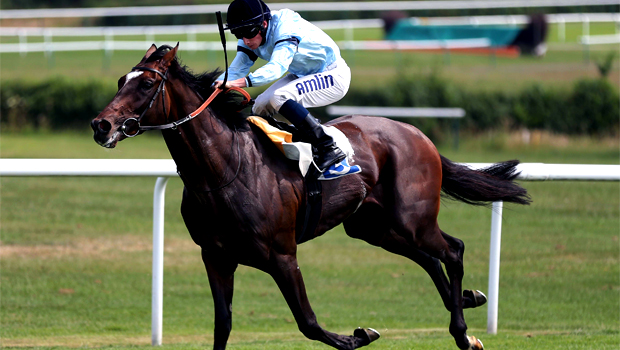 Telescope horse racing 1