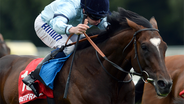 Telescope was beaten at Haydock