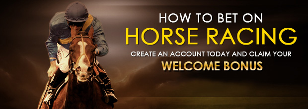 how to bet on horse racing