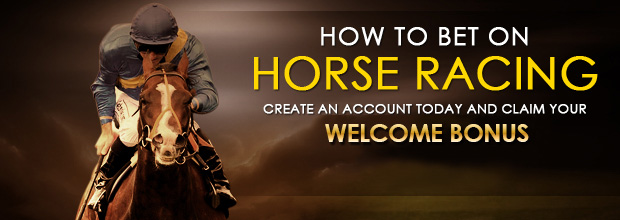 horse-how to