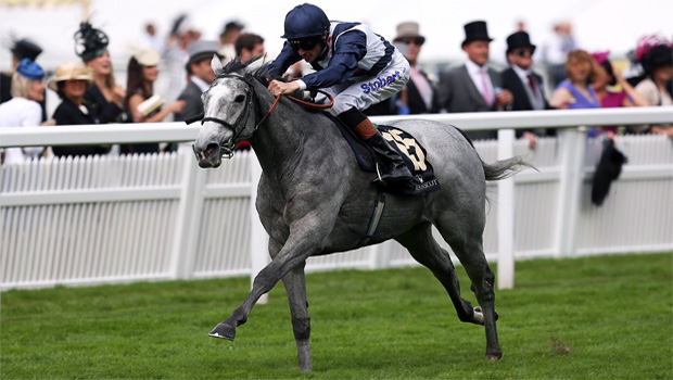 sky lantern horse racing