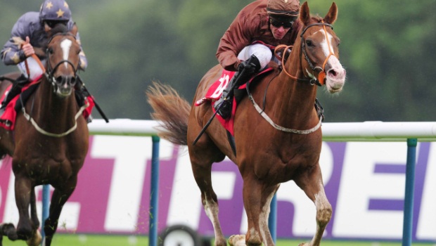 Horse Racing Top Notch Tonto