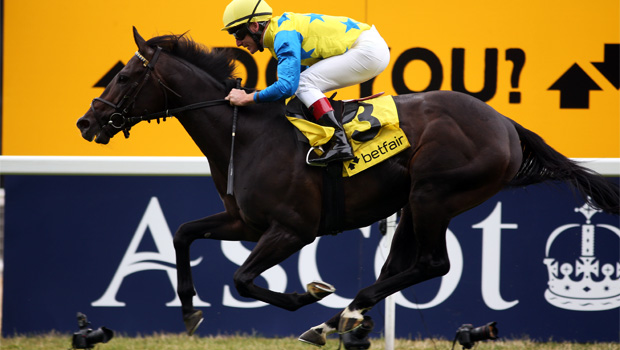 Novellist  to Qatar Prix de l'Arc de Triomphe