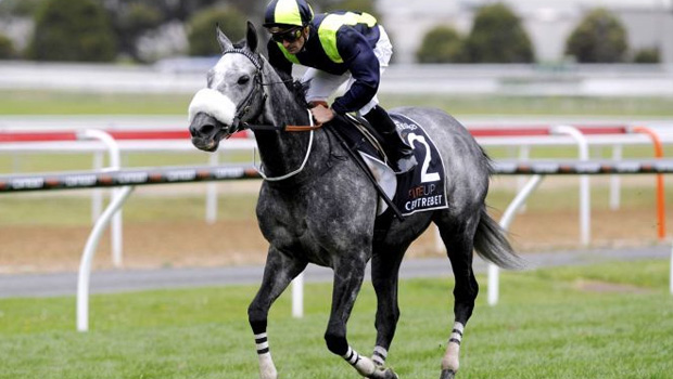 Tac De Boistron  horse racing Prix du Cadran