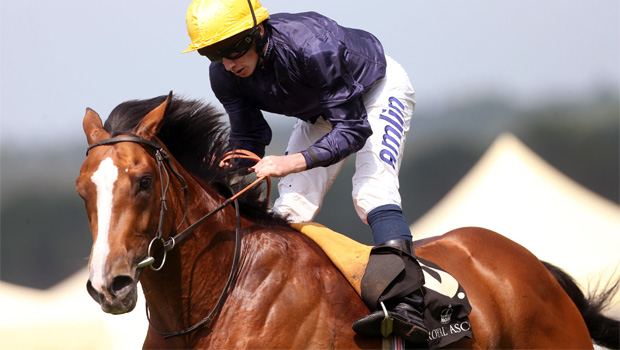 Hillstar on Qipco Champion Stakes