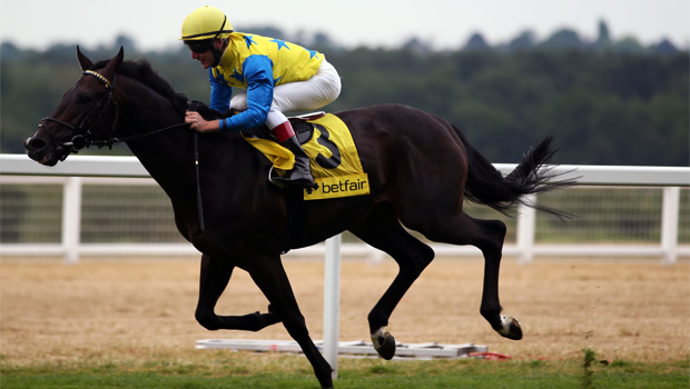 Novellist in Prix de L'Arc de Triomphe