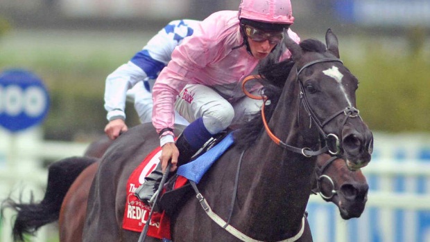The Fugue horse out in arc