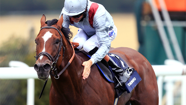 Toronado horse