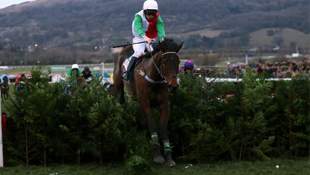 Big Shu on Cheltenham and Punchestown Festivals