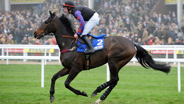 Champion Court Paddy Power Gold Cup