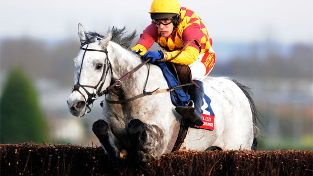 Dynaste horse Haydock betfair chase