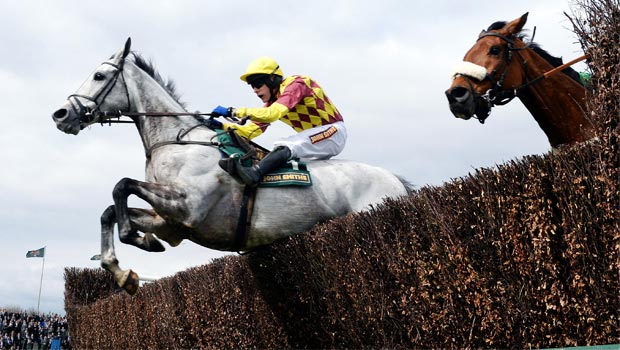 Dynaste ridden by Tom Scudamore