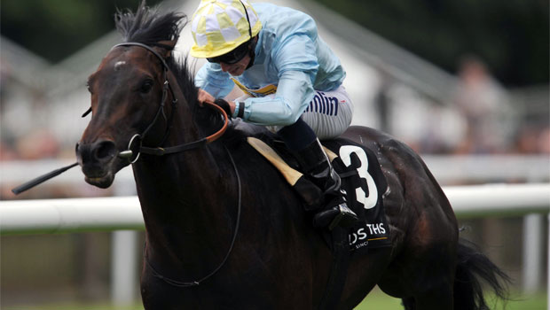 Fiorente Melbourne Cup Horse Racing