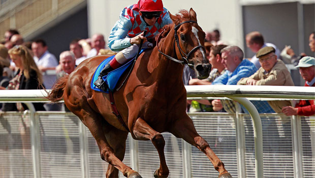 Red Cadeaux Melbourne Cup horse racing