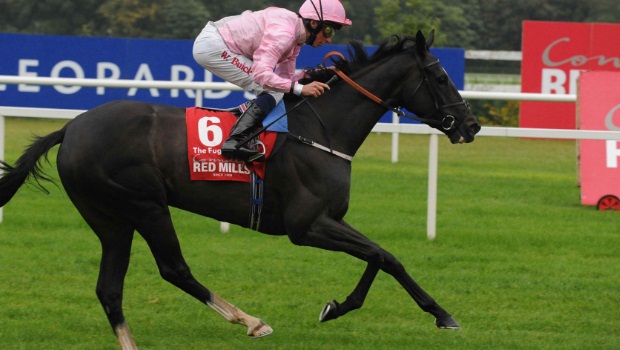 The Fugue Santa Anita Breeders Cup