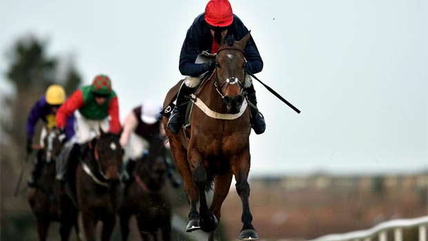 Bobs Worth Horse Racing