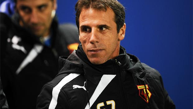 Gianfranco Zola Watford