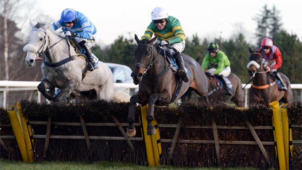 Seeyouatmidnight horse Premier Kelso Hurdle