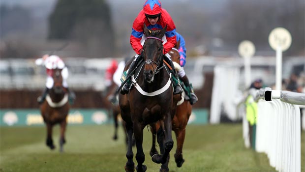 Sprinter Sacre horse Cheltenham Festival