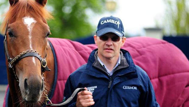  Aidan O'Brien and Australia