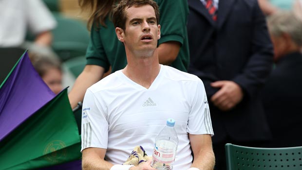 Andy Murray 2014 Wimbledon Championships