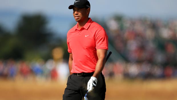  Tiger Woods Golf