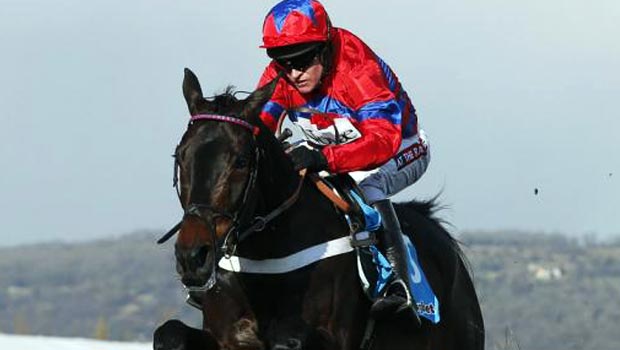 Sprinter Sacre Champion Chase