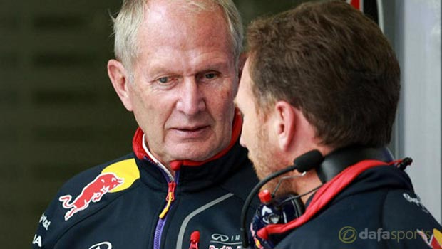 Red Bull advisor Helmut Marko