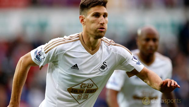 Swansea City Federico Fernandez