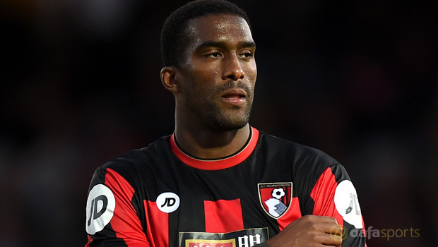 Bournemouth defender Sylvain Distin