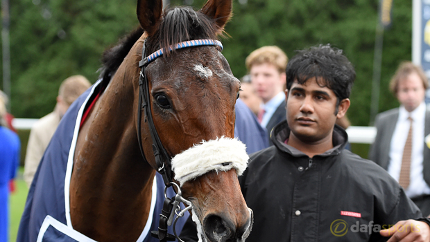 Cue Card Horse Racing Gold Cup