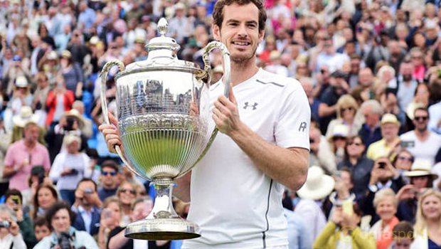 Andy Murray Queens 2016