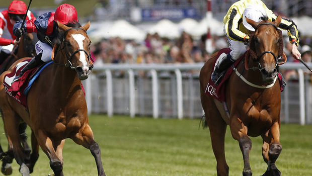 Big Orange Royal Ascot