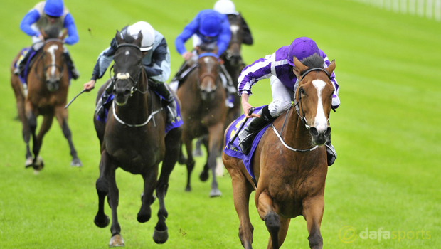 Minding-Irish-Champion-Stakes-Horse-Racing