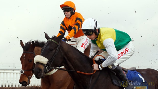 Many-Clouds-2015-Grand-National-winner